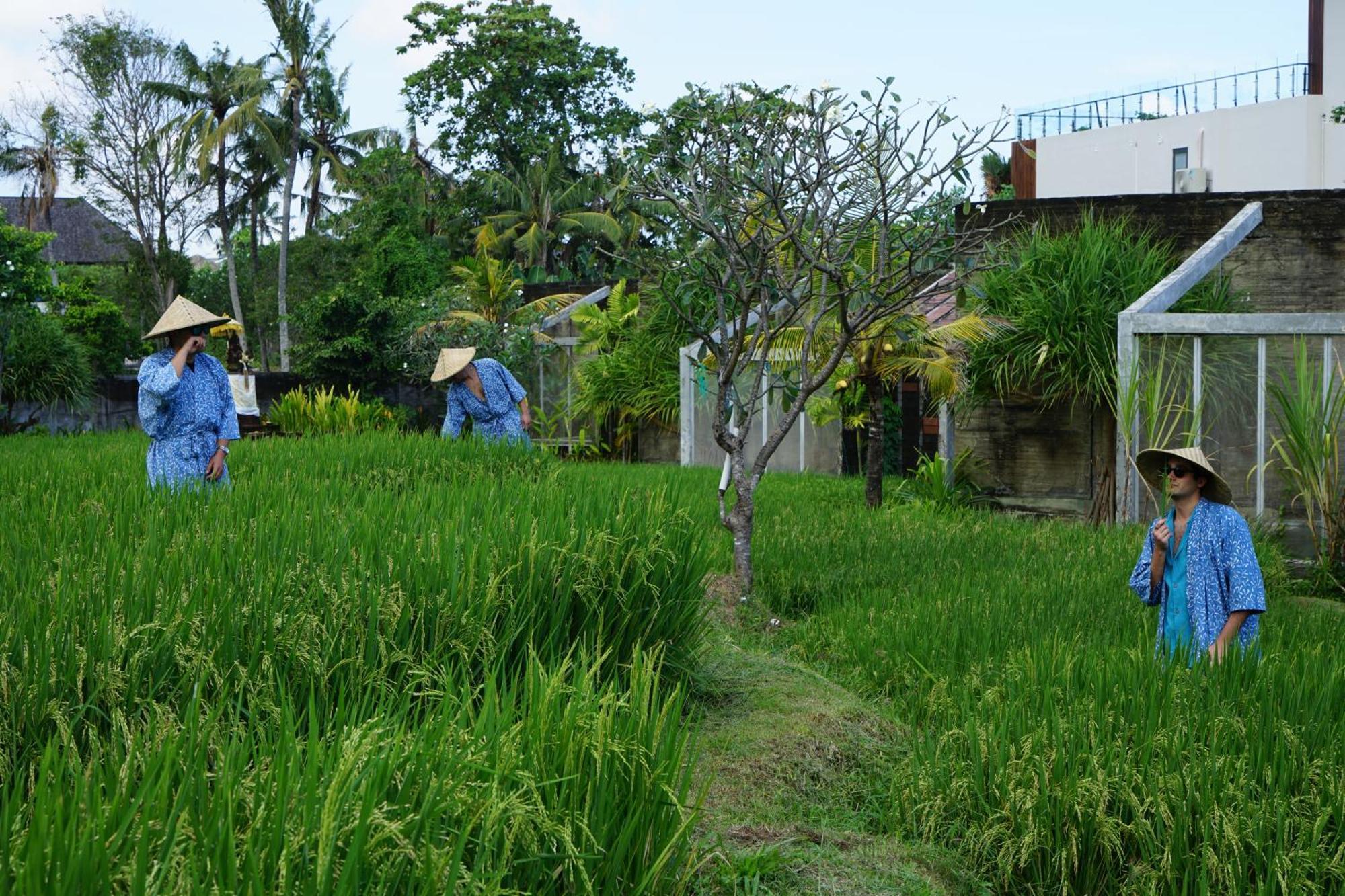 Shore Amora Canggu Kültér fotó